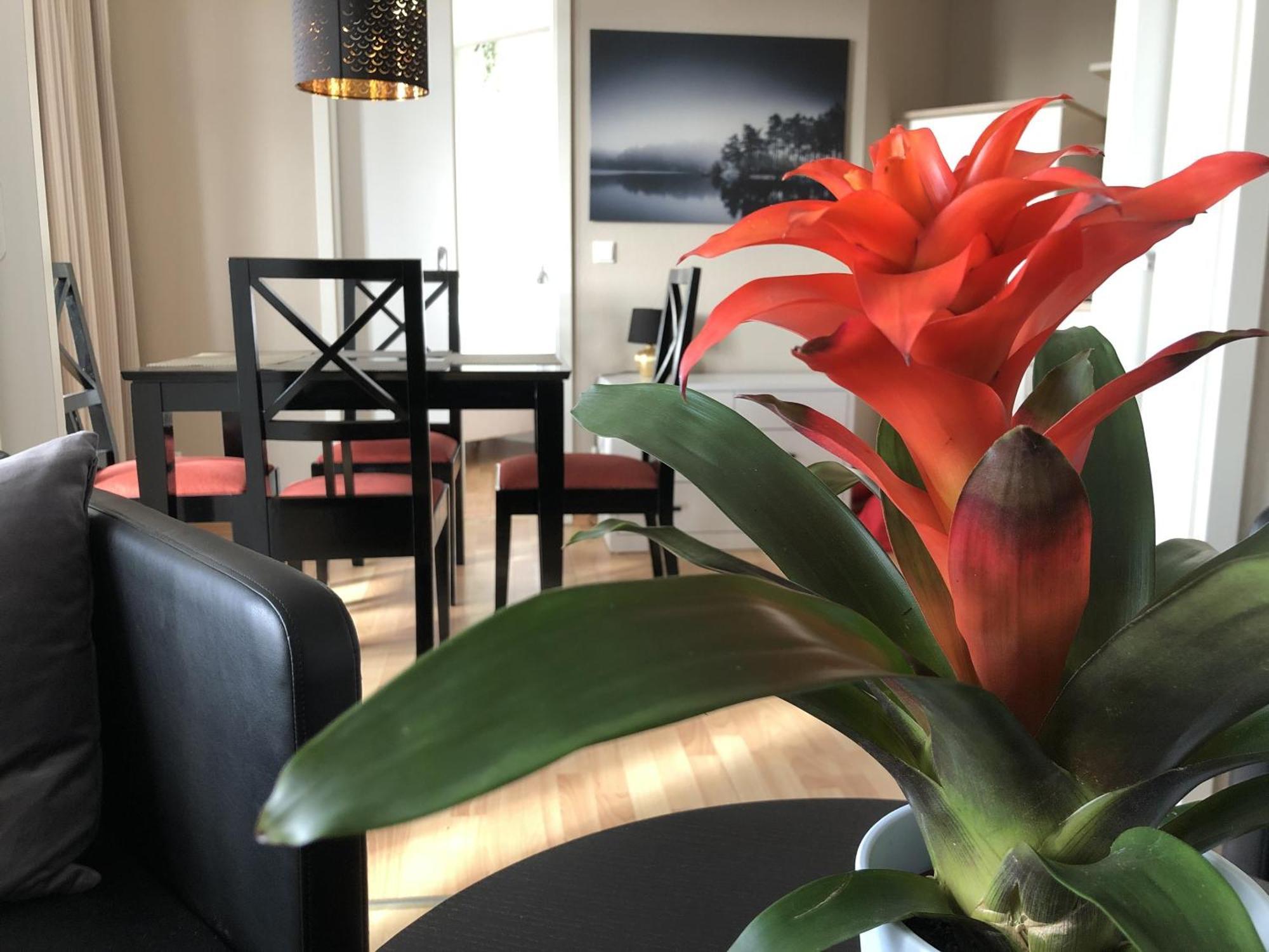 Sehnsucht Ruegen Ferienappartements Sellin  Εξωτερικό φωτογραφία