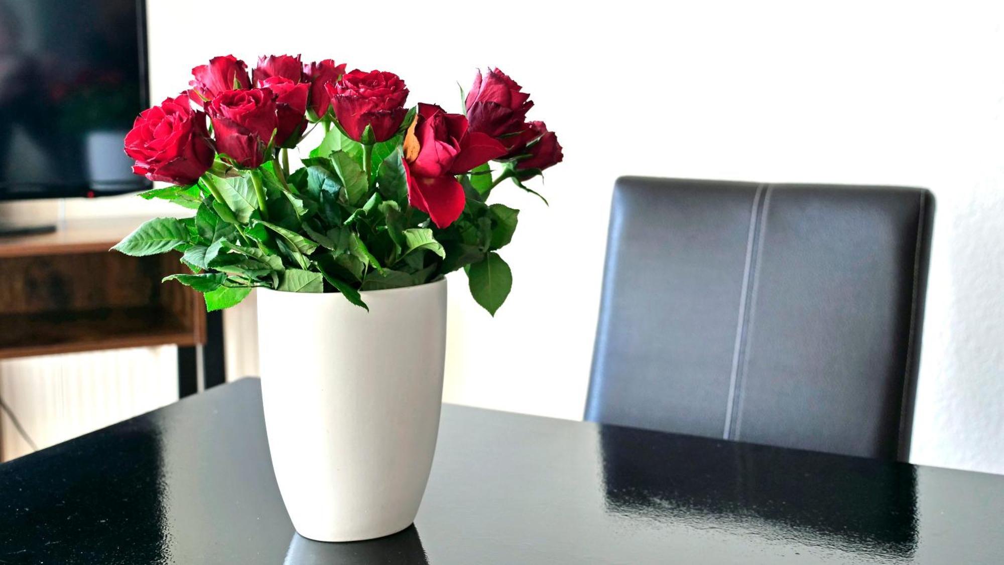 Sehnsucht Ruegen Ferienappartements Sellin  Εξωτερικό φωτογραφία
